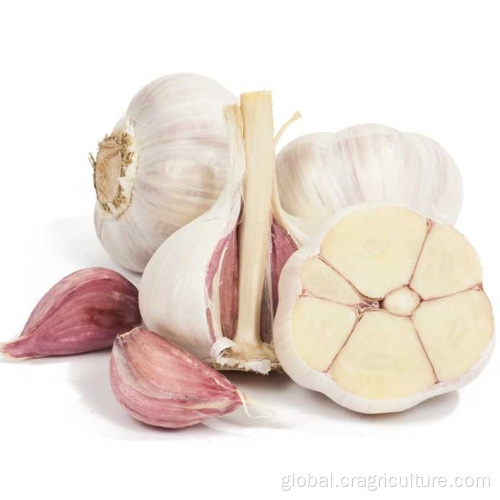 Dried White Garlic Natural 6P Fresh White Garlic Vegetables Factory